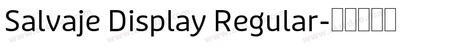 Salvaje Display Regular字体转换